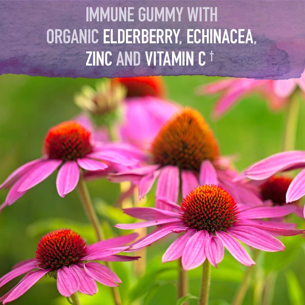 Garden of Life Organics Elderberry Gummies for Adults & Kids - Immune Support Supplement with Organic Fruit, Herbal Blend, Elderberry, Echinacea, Zinc, - FENGGESTORE20
