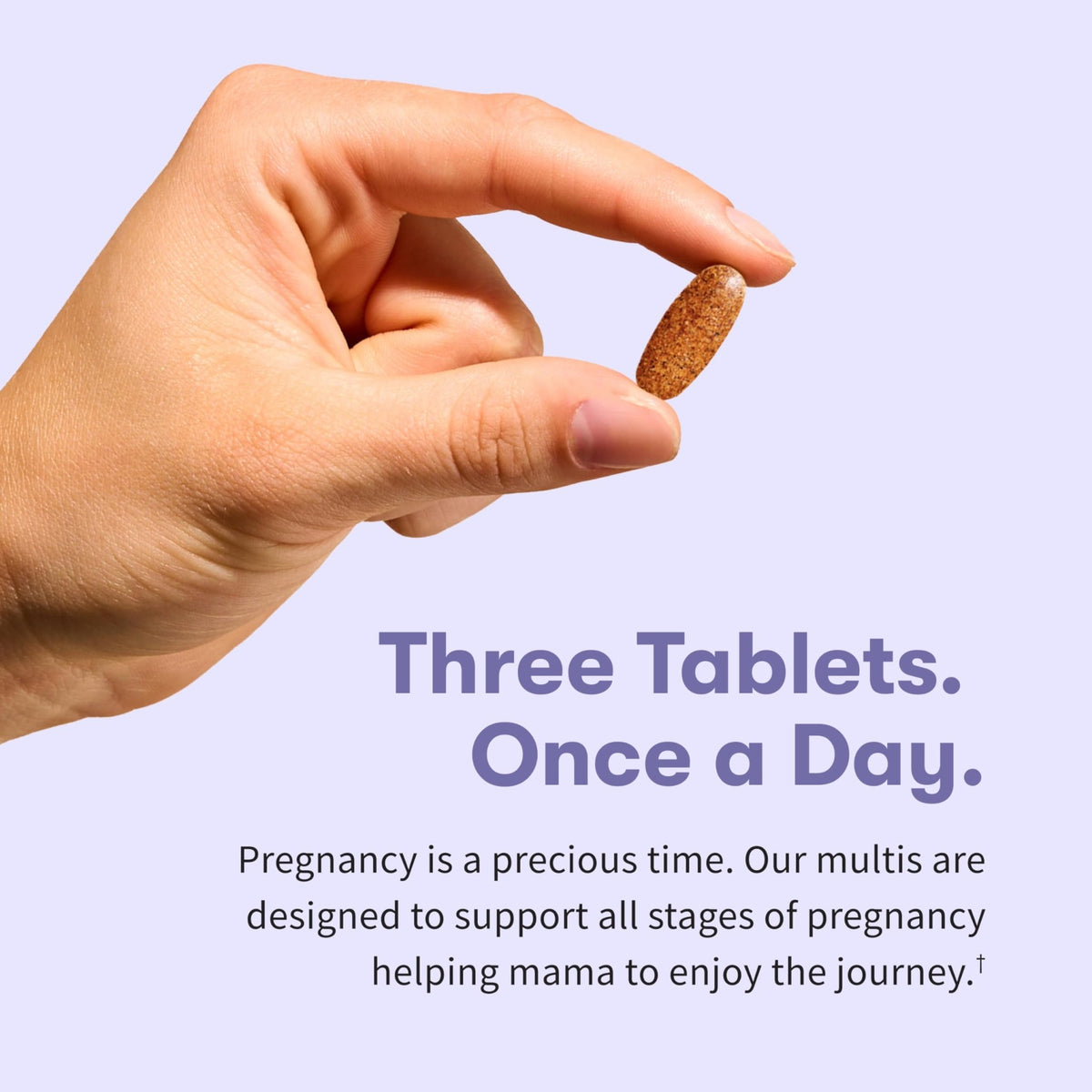 Garden of Life Organics Prenatal Multivitamin with Folate, B6, B12, D3 & Iron – Prenatal Vitamins for Women with Energy Metabolism Support for Healthy Fetal Development - FENGGESTORE20