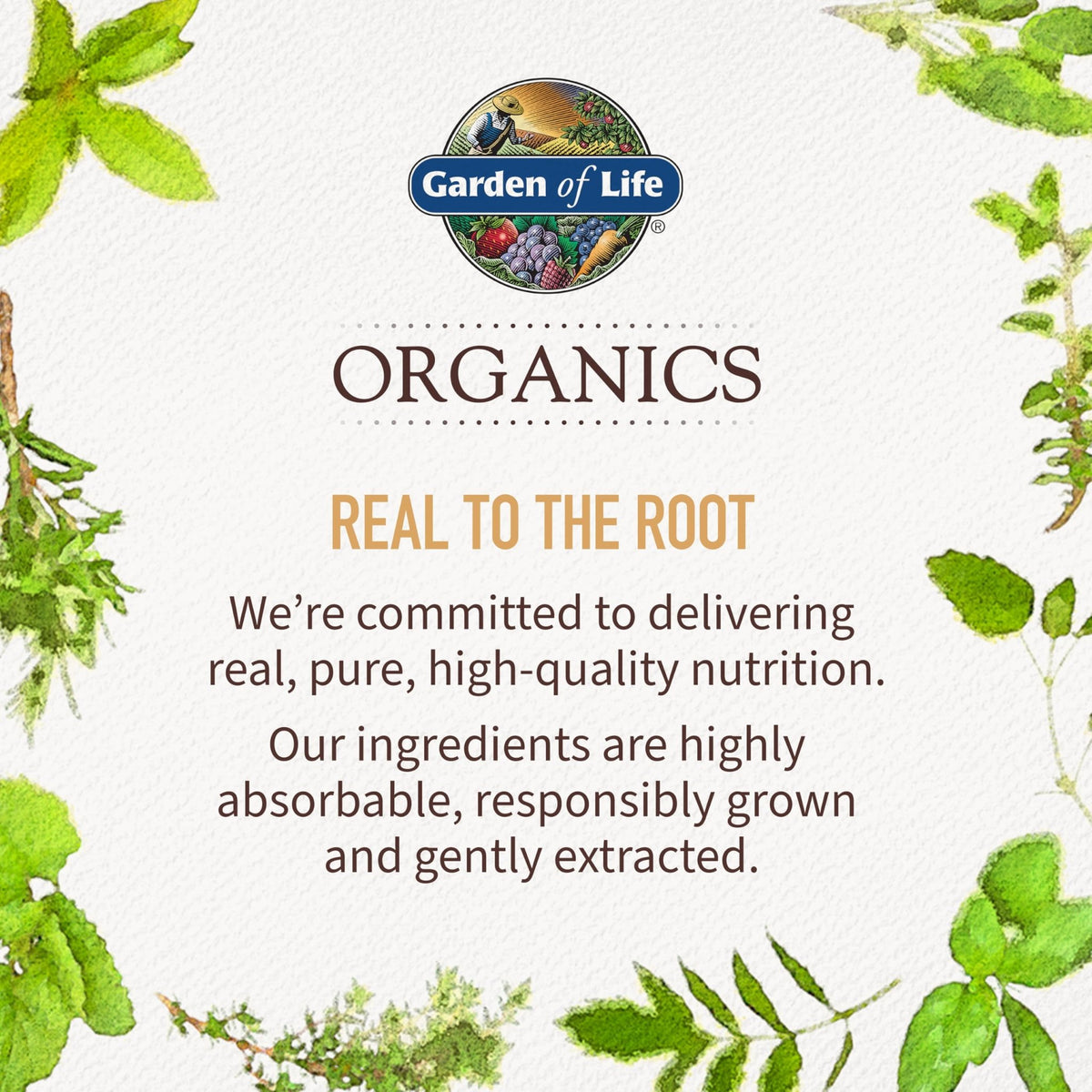 Garden of Life Organics Women's Gummy Vitamins - Berry - Certified Organic, Non-GMO, Vegan, Kosher Complete Multi - Methyl B12, C & D3 - Gluten - FENGGESTORE20