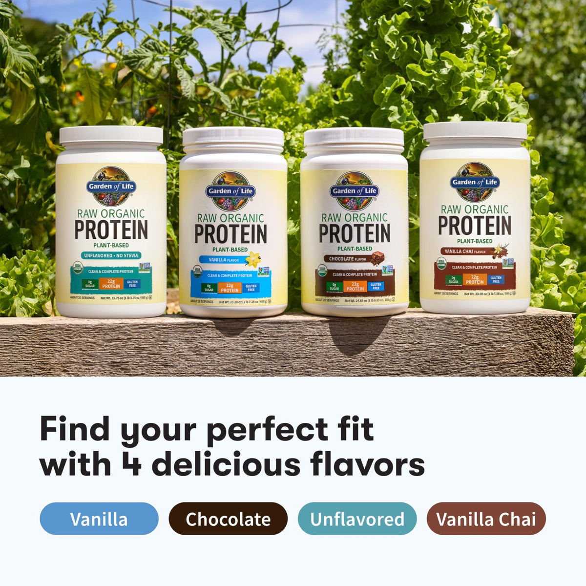 Garden Of Life Protein Powder, Vegan Protein Powder, Bcaa, Probiotics & Digestive Enzymes, Gluten & Lactose Free, Vanilla, 23.28 Ounce - FENGGESTORE20