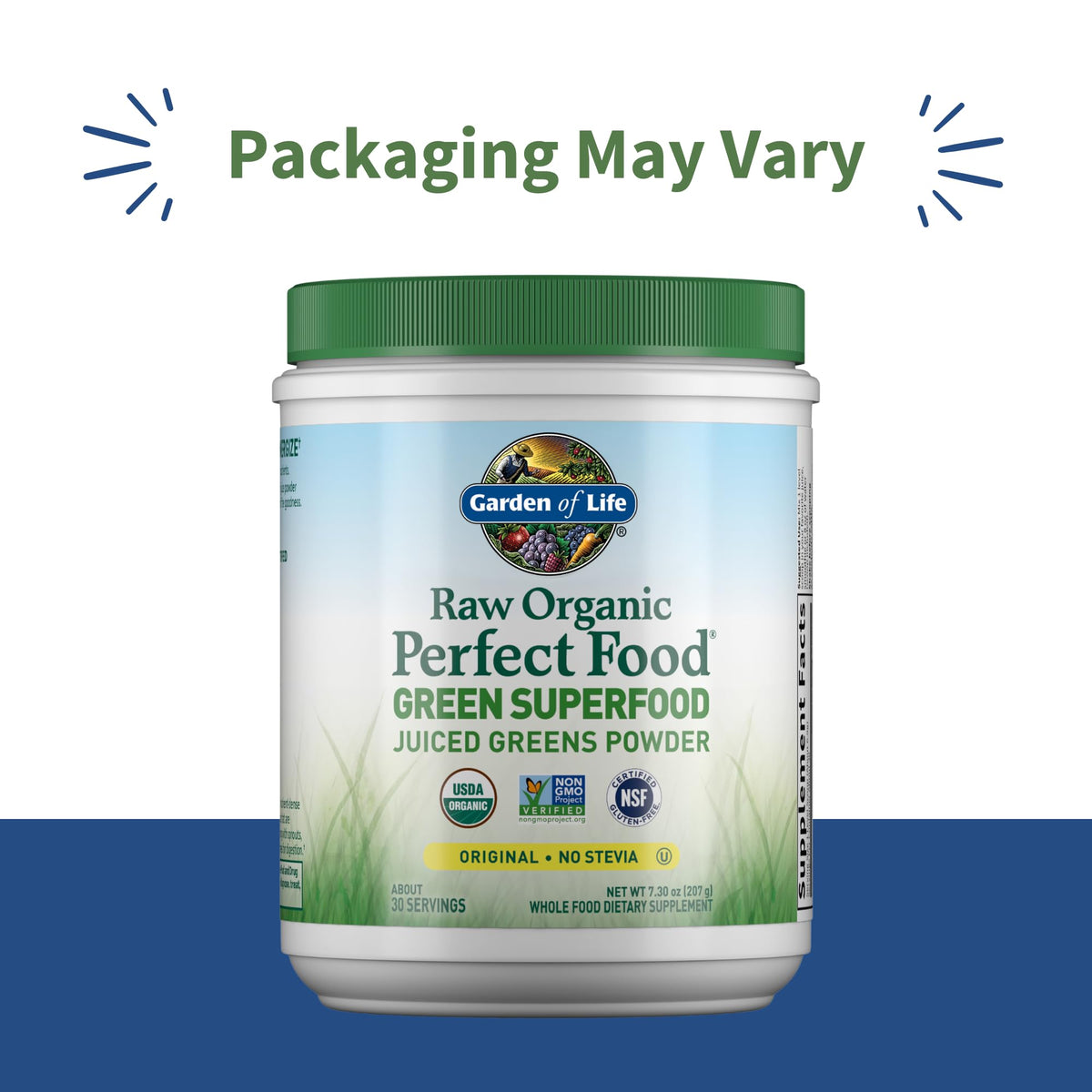 Garden of Life Raw Organic Perfect Food Green Superfood Juiced Greens Powder - Original Stevia-Free, 30 Servings, Non-GMO, Gluten Free Whole Food Dietary - FENGGESTORE20