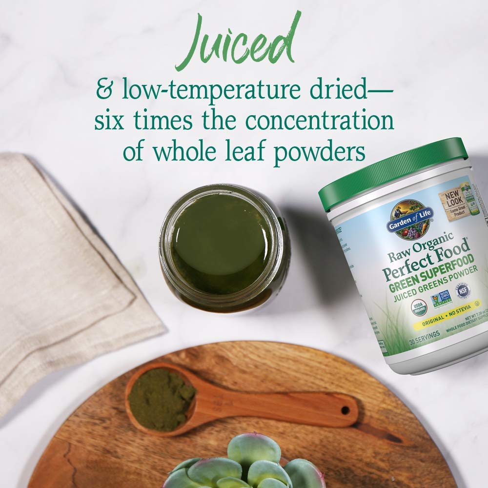 Garden of Life Raw Organic Perfect Food Green Superfood Juiced Greens Powder - Original Stevia-Free, 30 Servings, Non-GMO, Gluten Free Whole Food Dietary - FENGGESTORE20