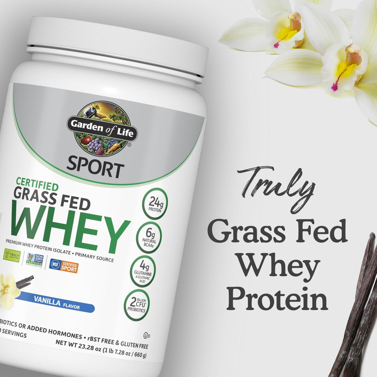 Garden of Life Sport Grass Fed Whey Protein Powder – 24g Whey Protein Isolate for Women & Men with Probiotics & Glutamine, Non-GMO, Gluten-Free, Cold-Processed, Vanilla Flavor, 20 Servings - FENGGESTORE20