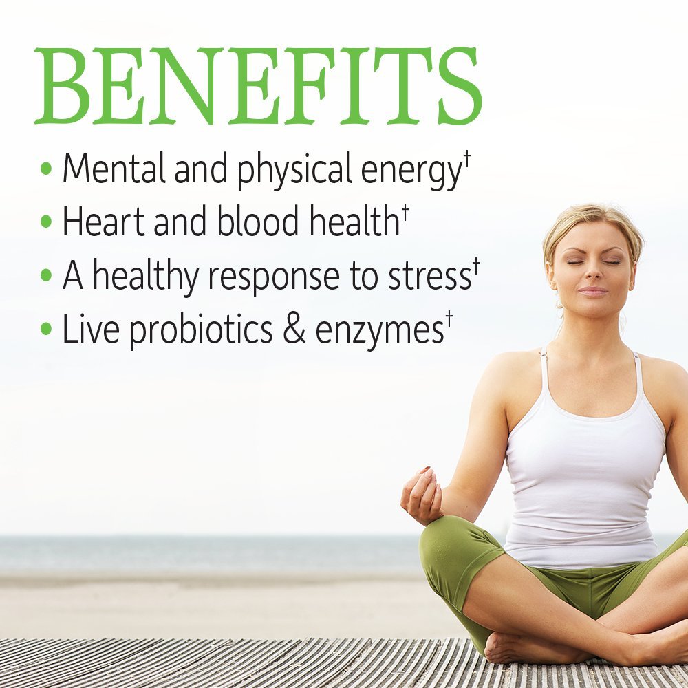 Garden of Life Vitamin B Complex, 120 Vegan Capsules, High Potency Vitamins for Energy & Metabolism with B6, Folate & B12 - FENGGESTORE20