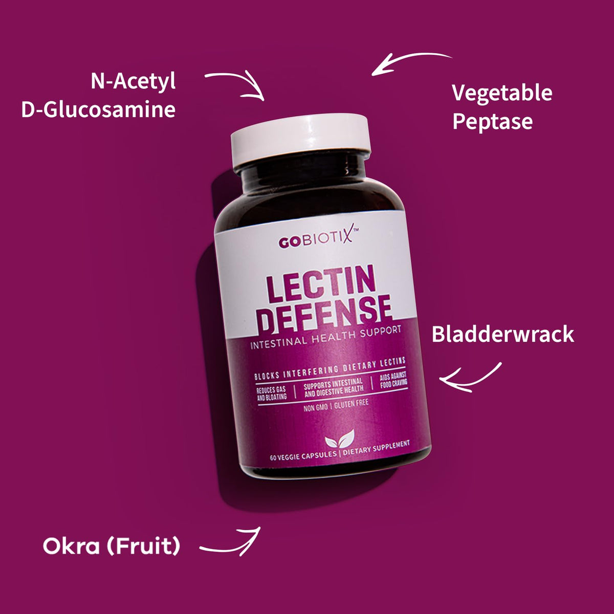 GOBIOTIX Lectin Defense - Lectin Blocker Supplement for Leaky Gut with MSM and Digestive Enzymes - Aids in Intestinal Health for Women and Men - Non-GMO - FENGGESTORE20