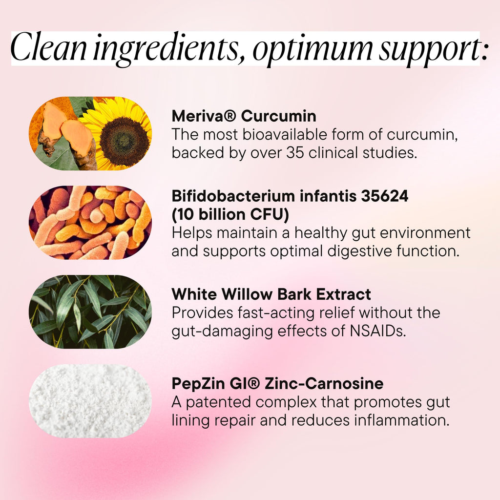 Goodness Lover Inflammation Pro, with 10 Billion CFU for Digestive Support, Curcumin, White Willow bark Extract, Zero fillers, Vegan, 30 Servings - FENGGESTORE20
