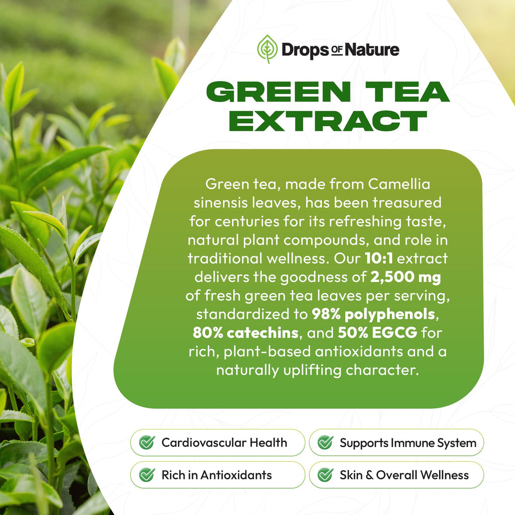 Green Tea 10:1 Extract 50% EGCG - Green Tea Liquid Drops - Vegan, 4X More Powerful Than Pills & Capsules - 2oz Antioxidant & Immune Supplement - FENGGESTORE20