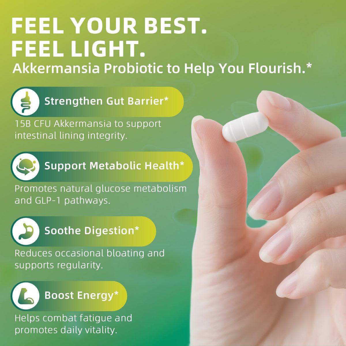 GREENPEOPLE Akkermansia Probiotics 15B CFU for Gut Function, 60CT Probiotics Supplement with Ceylon Cinnamon, Turmeric | Digestive Health & Metabolic Support - FENGGESTORE20