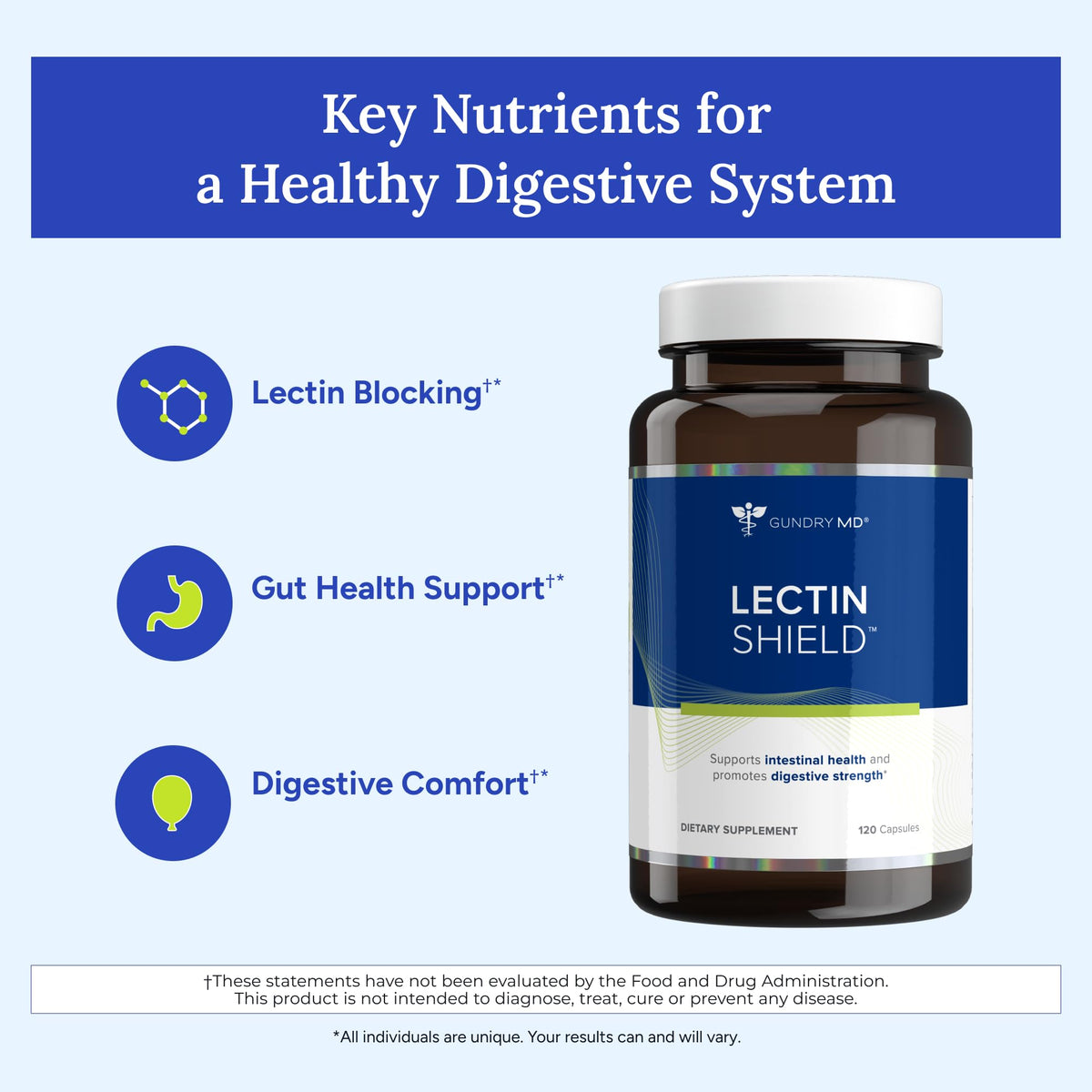 Gundry MD® Lectin Shield, Gut Health and Digestion Supplement, Helps Block Potentially Harmful Lectins, Supports Digestive Comfort, and Intestinal Health, 30 Day Supply - FENGGESTORE20