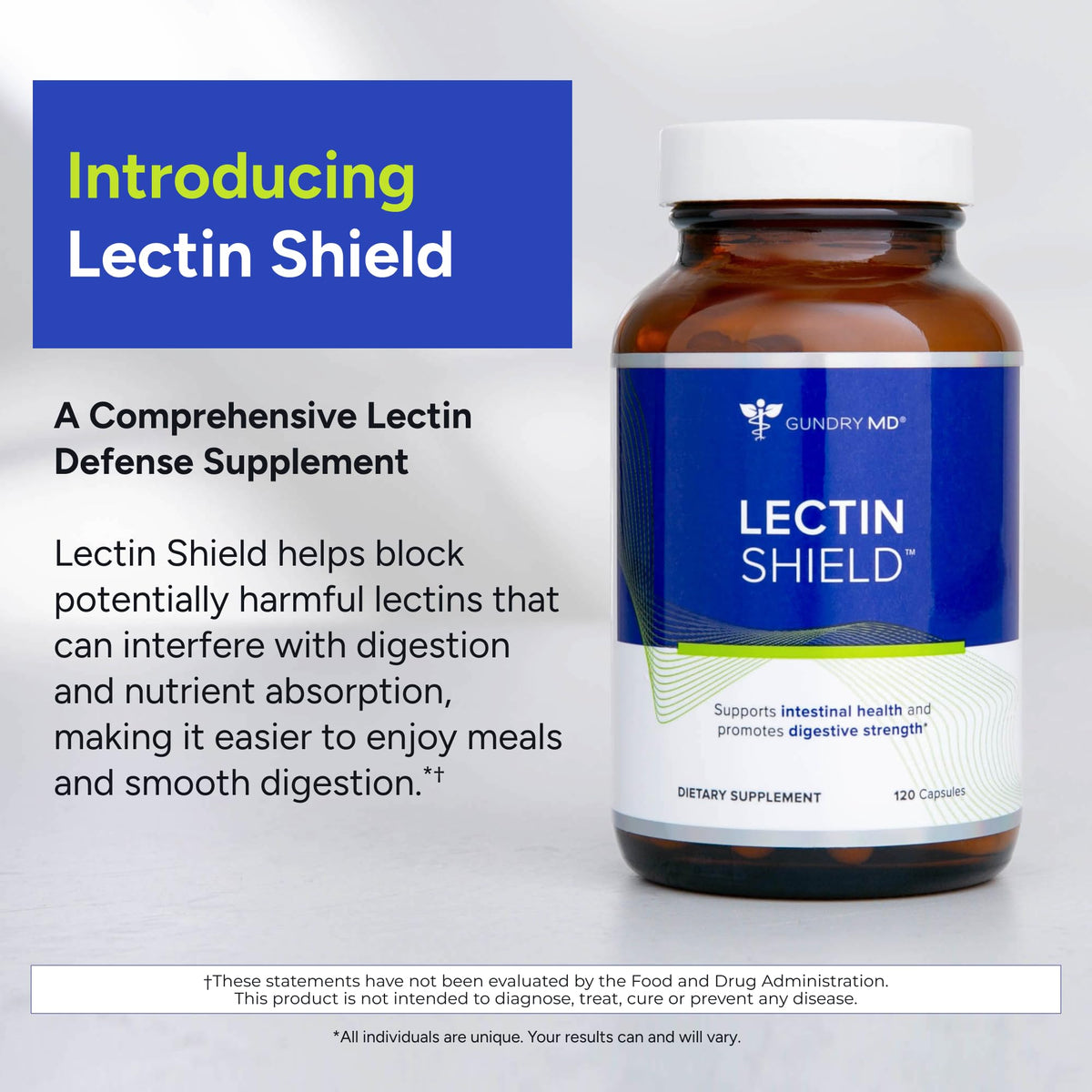 Gundry MD® Lectin Shield, Gut Health and Digestion Supplement, Helps Block Potentially Harmful Lectins, Supports Digestive Comfort, and Intestinal Health, 30 Day Supply - FENGGESTORE20