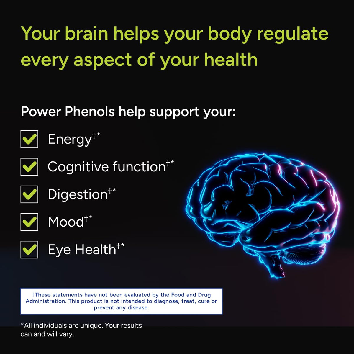 Gundry MD Power Phenols Brain Health Supplement for Cognition, Focus, Motivation, Productivity, and Energy - (30 Servings) - FENGGESTORE20