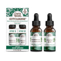 GuruNanda Gutcleanse 2-Step Kit - Dietary Supplement to Help with Digestion - Blend of Fulvic Acid, Wormwood, Clove & Neem Extract, 2x1 FlOz - FENGGESTORE20