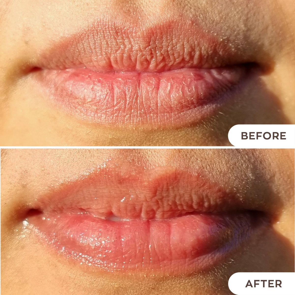 Hanalei Lip Treatment for Dry, Chapped Lips – Intensive Overnight Moisturizer with Kukui Oil - FENGGESTORE20