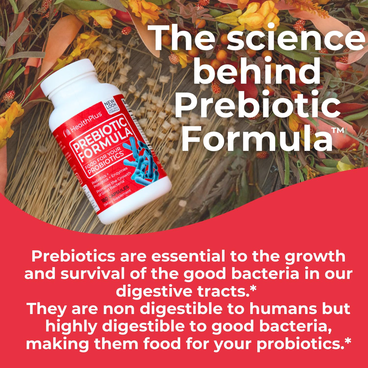 Health Plus Prebiotic Formula - Probiotics + Prebiotics + Digestive Enzymes - Gluten Free, Dairy Free, Natural Herbal Ingredients - FENGGESTORE20