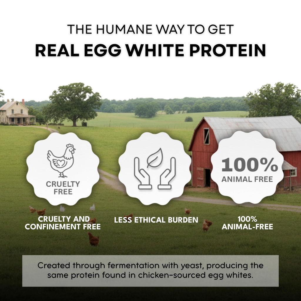 Healthier Comforts Animal-Free Egg White Protein Powder | Make Vegan Egg Omelets, Angel Food Cake, Meringue, Protein Shakes | Whips and Binds Just Like Traditional Egg Whites (8 oz) - FENGGESTORE20