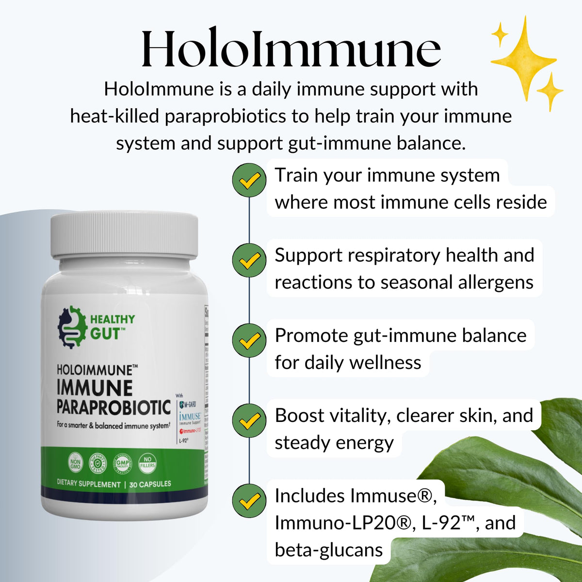 Healthy Gut HoloImmune | Paraprobiotic with Immuse Immune Support | 30 Servings - FENGGESTORE20