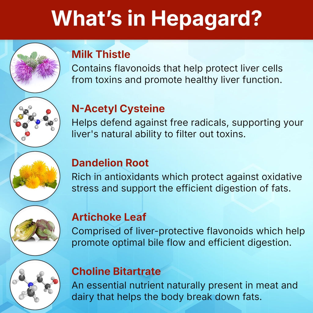 Hepagard - Natural Liver Support Supplement with N-Acetyl Cysteine (NAC) - Non-GMO, Vegan, Gluten-Free - FENGGESTORE20