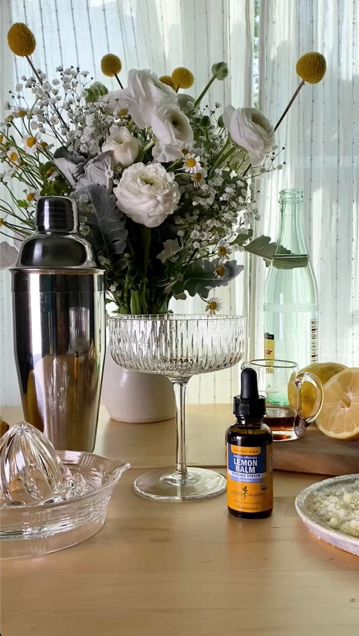 Herb Pharm, Lemon Balm Alcohol Free, 1 Fl Oz - FENGGESTORE20