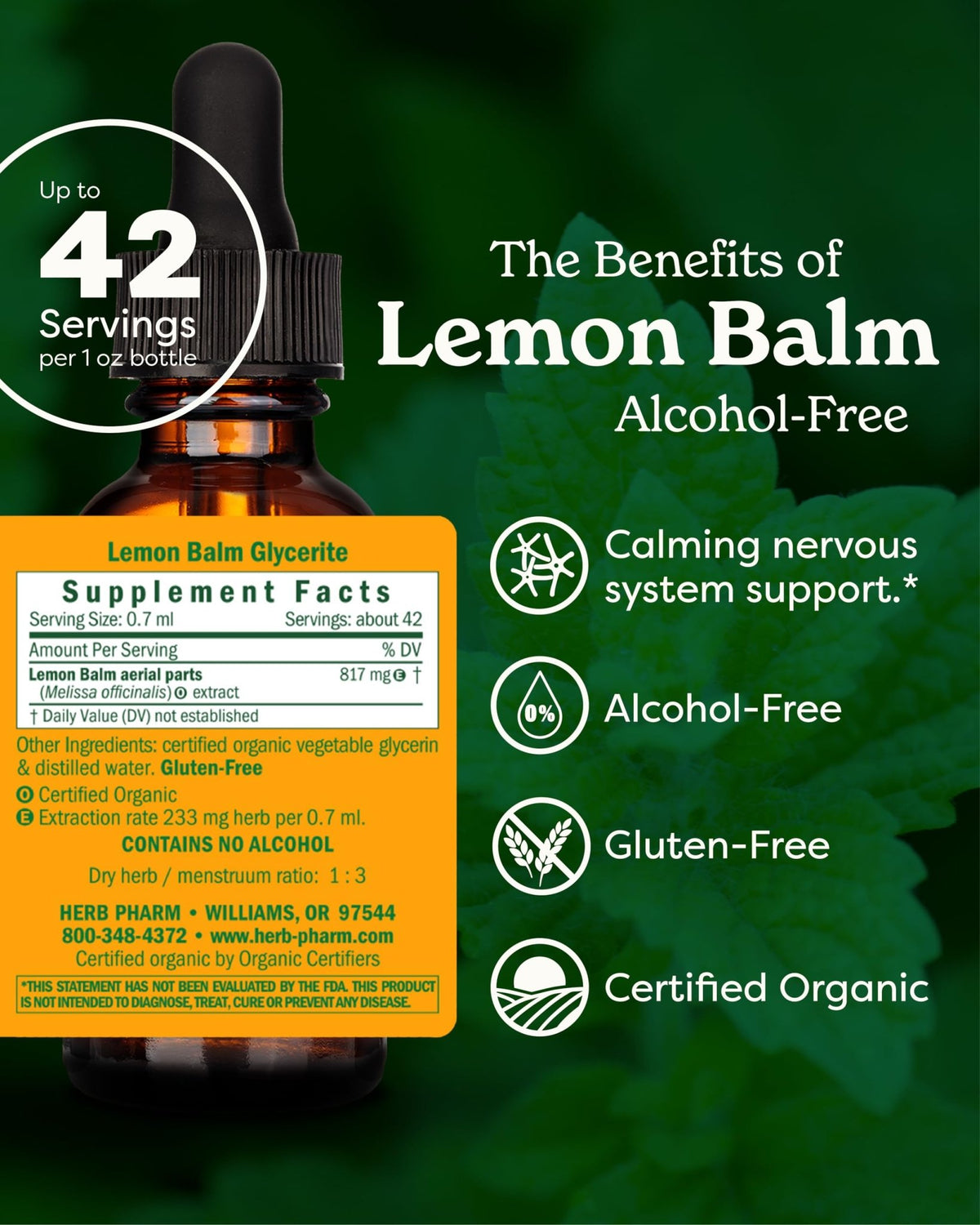 Herb Pharm, Lemon Balm Alcohol Free, 1 Fl Oz - FENGGESTORE20