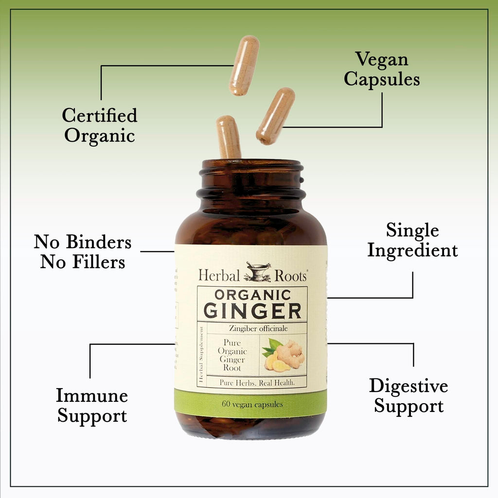 Herbal Roots Ginger Supplement | Organic Ginger Root Capsules | 1,200 mg of Pure Ginger Powder per Serving | 60 Vegan Capsules - FENGGESTORE20