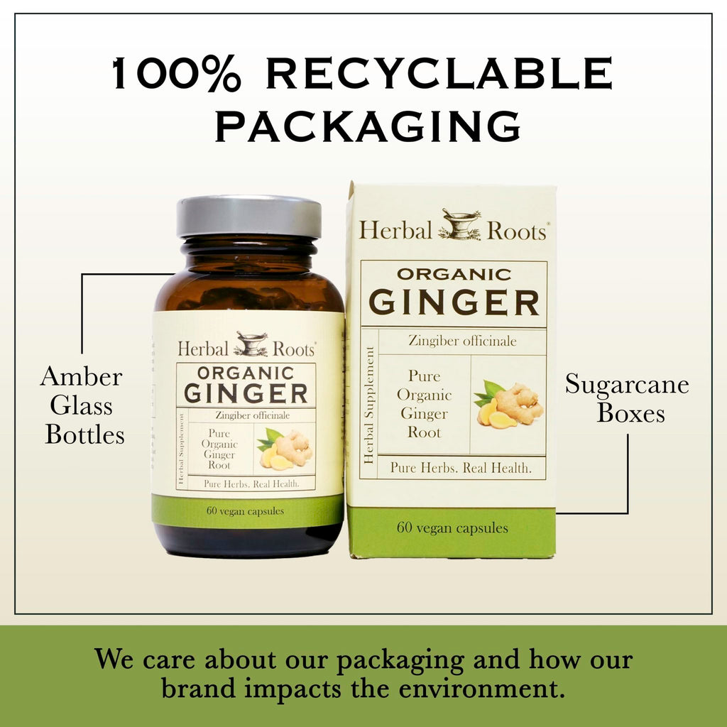 Herbal Roots Ginger Supplement | Organic Ginger Root Capsules | 1,200 mg of Pure Ginger Powder per Serving | 60 Vegan Capsules - FENGGESTORE20