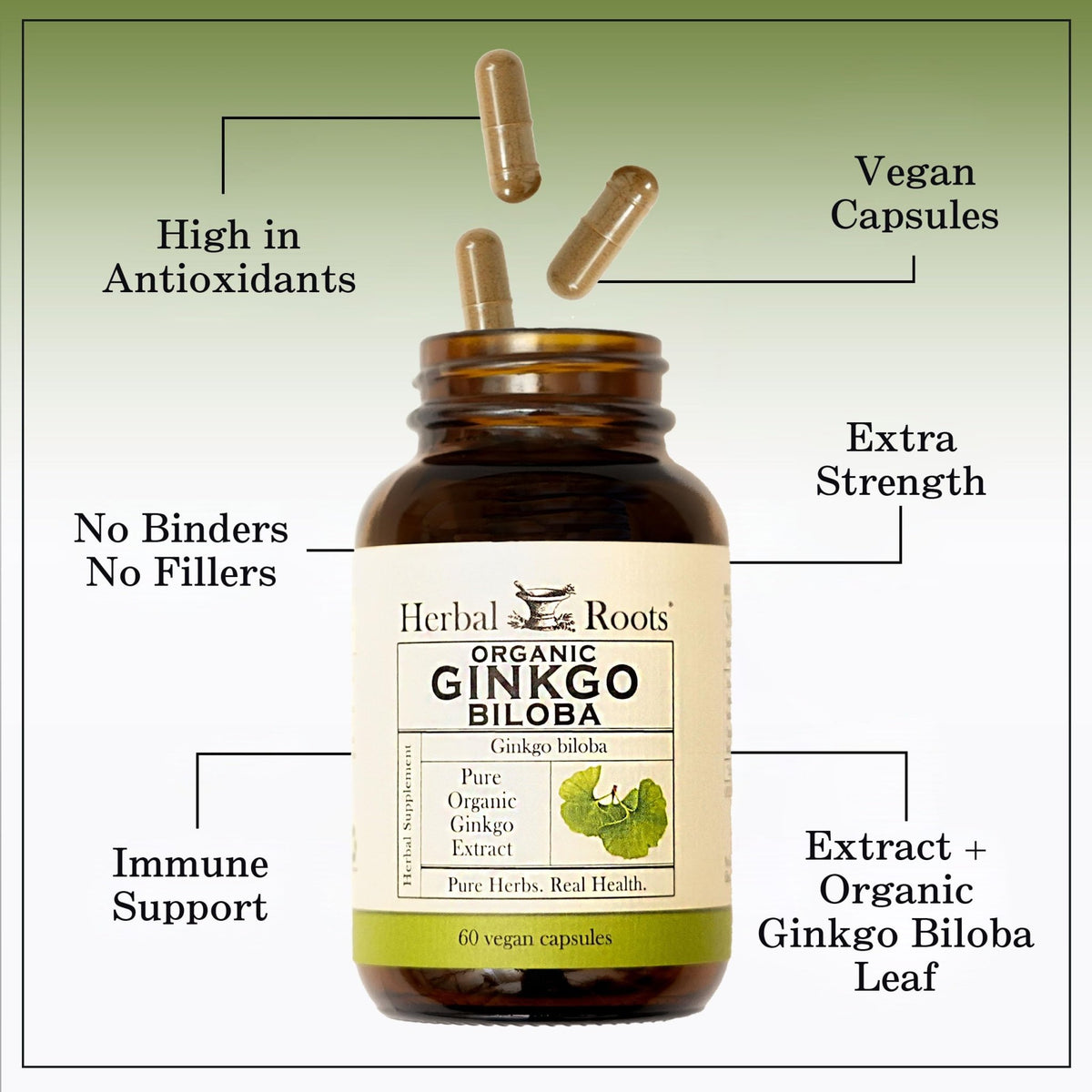 Herbal Roots Organic Ginkgo Biloba Made with Pure Organic Ginkgo Leaf and Extract - 60 Vegan Capsules - FENGGESTORE20