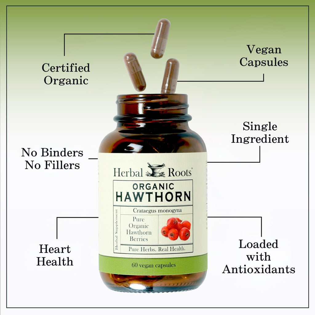 Herbal Roots Organic Hawthorn Berry Capsules | Extra Strength 1,200mg per Serving | 60 Vegan Capsules - FENGGESTORE20