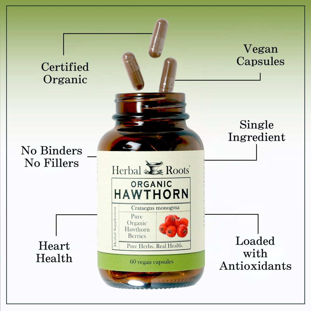 Herbal Roots Organic Hawthorn Berry Capsules | Extra Strength 1,200mg per Serving | 60 Vegan Capsules - FENGGESTORE20