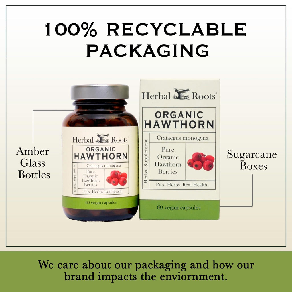 Herbal Roots Organic Hawthorn Berry Capsules | Extra Strength 1,200mg per Serving | 60 Vegan Capsules - FENGGESTORE20