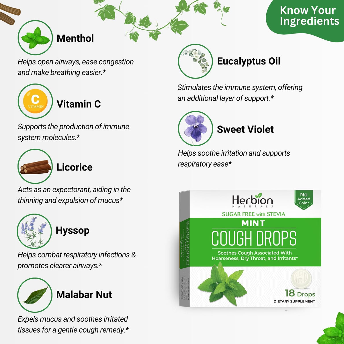 HERBION Naturals Cough Drops, Sugar Free with Stevia, Dietary Supplement, Soothes Cough, for Adults & Children Over 6 Years, 18 Count, Mint, Pack of 1 - FENGGESTORE20