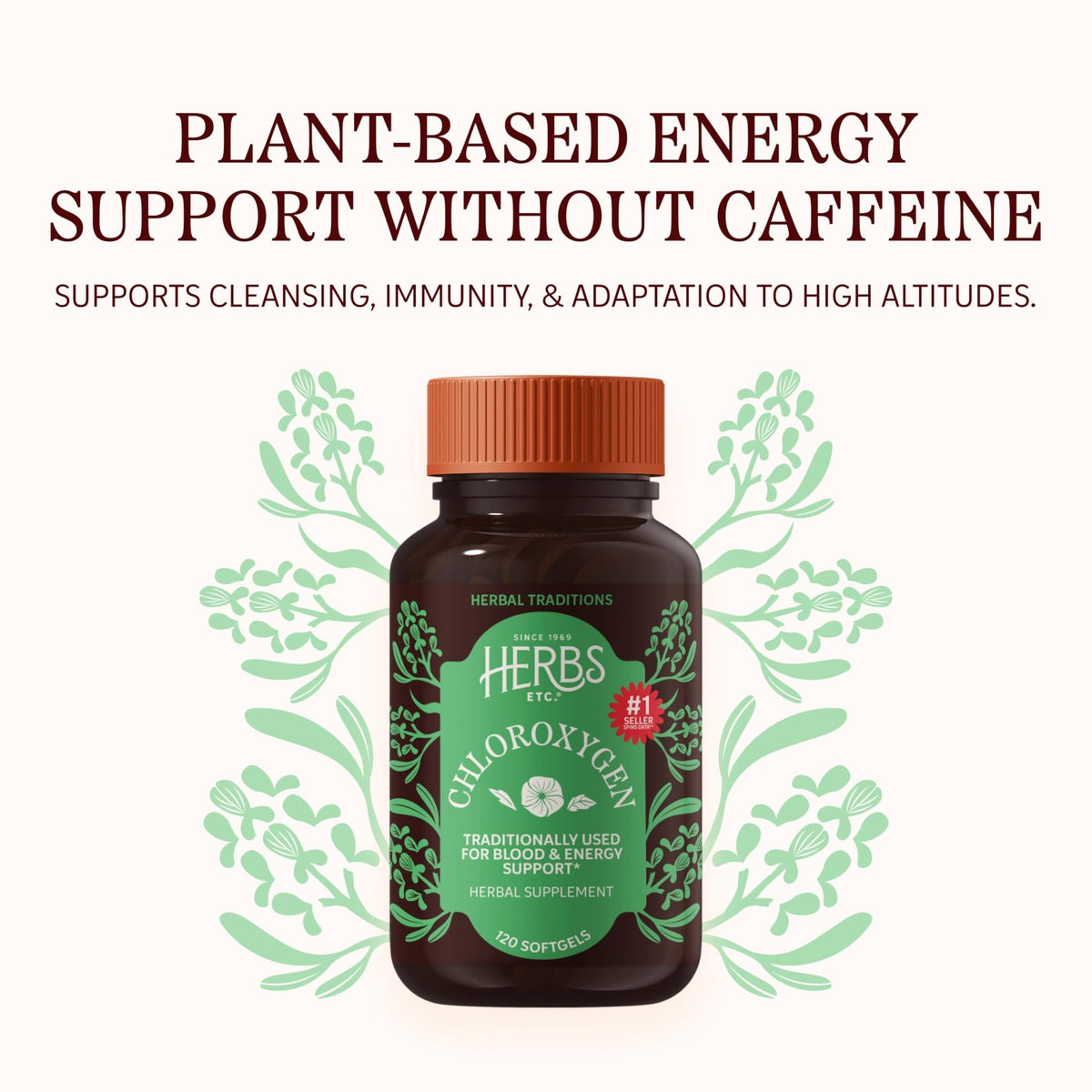 Herbs Etc. ChlorOxygen Chlorophyll Concentrate Softgels - High-Potency Chlorophyll for Detoxification Support - Deodorizing - Skin, Gut - FENGGESTORE20