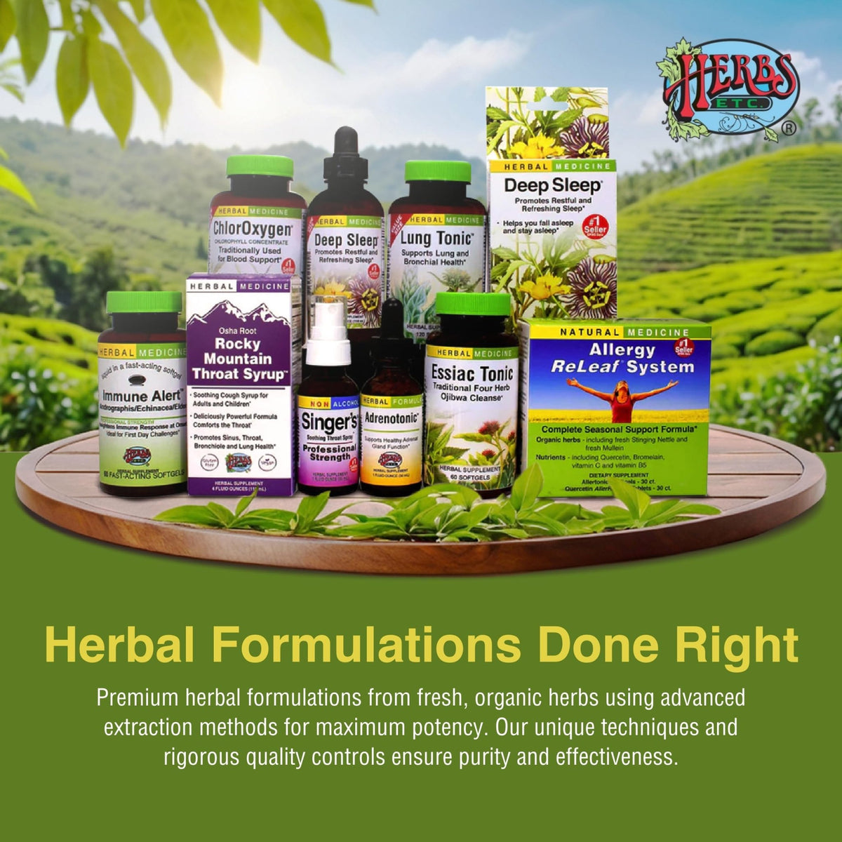 Herbs Etc. ChlorOxygen Chlorophyll Concentrate Softgels - High-Potency Chlorophyll for Detoxification Support - Deodorizing - Skin, Gut - FENGGESTORE20