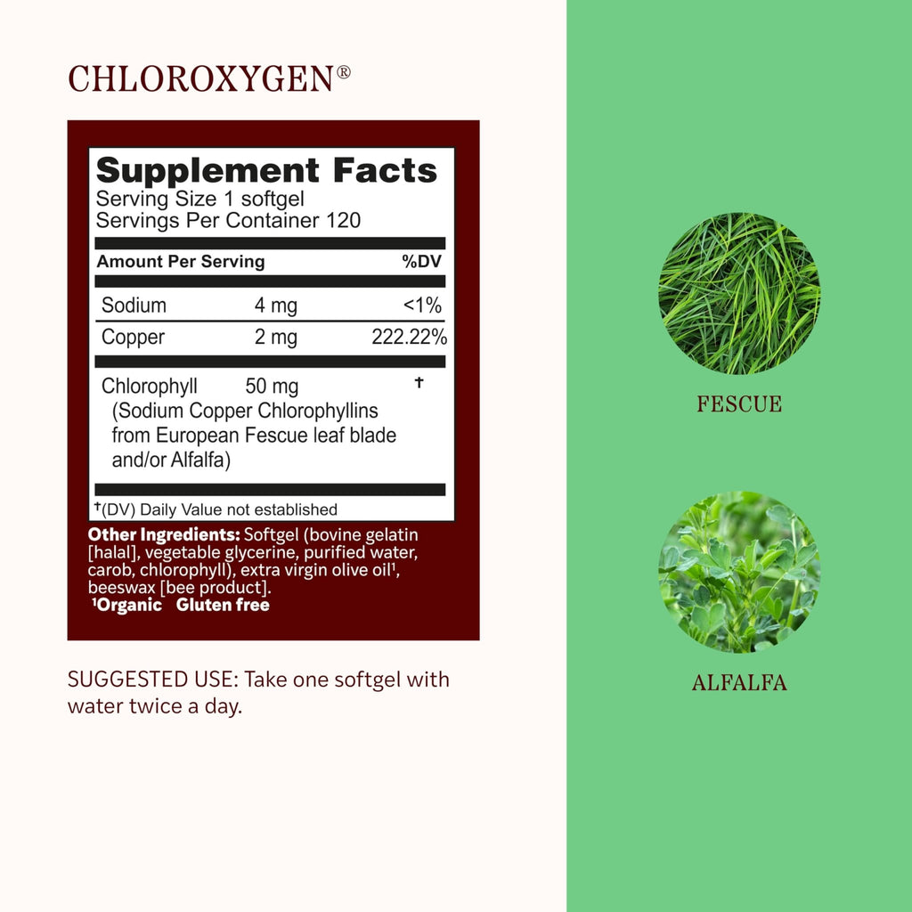 Herbs Etc. ChlorOxygen Chlorophyll Concentrate Softgels - High-Potency Chlorophyll for Detoxification Support - Deodorizing - Skin, Gut - FENGGESTORE20