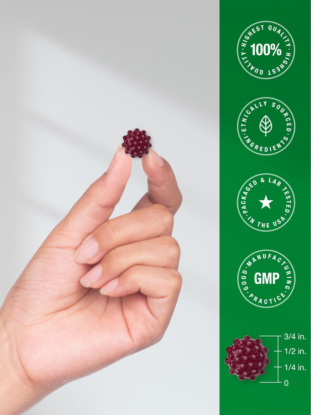 Horbaach Black Elderberry Gummies | 120 Count | Sambucus Extract | with Zinc and Vitamin C | Berry Flavor | Vegan, Non-GMO - FENGGESTORE20