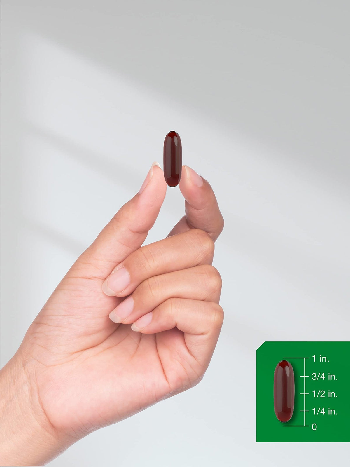 Horbaach Black Seed Oil Cold Pressed Softgel Capsules | 2000mg | 120 Count | Supplement with Omega 6 and 9 | Nigella Sativa - FENGGESTORE20