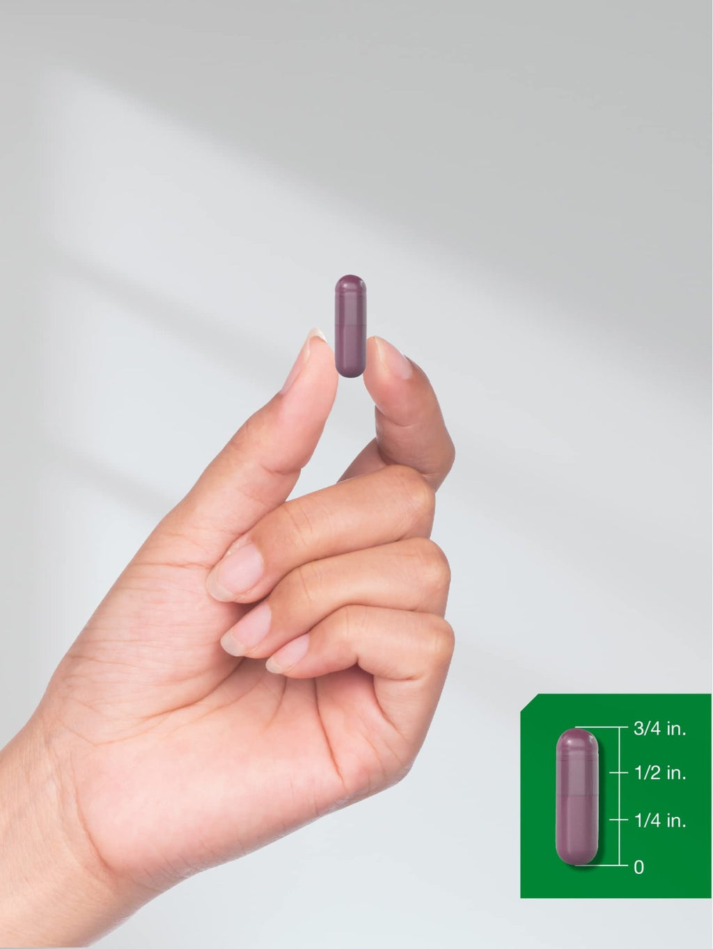 Horbäach Beet Root Powder Capsules | 320 Pills | Non-GMO, Gluten Free Formula | High Potency Herbal Extract Supplement - FENGGESTORE20
