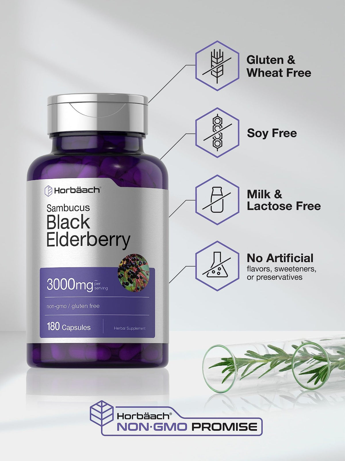 Horbäach Black Elderberry | 180 Count | Non-GMO, Gluten Free | Sambucus Extract Supplement - FENGGESTORE20
