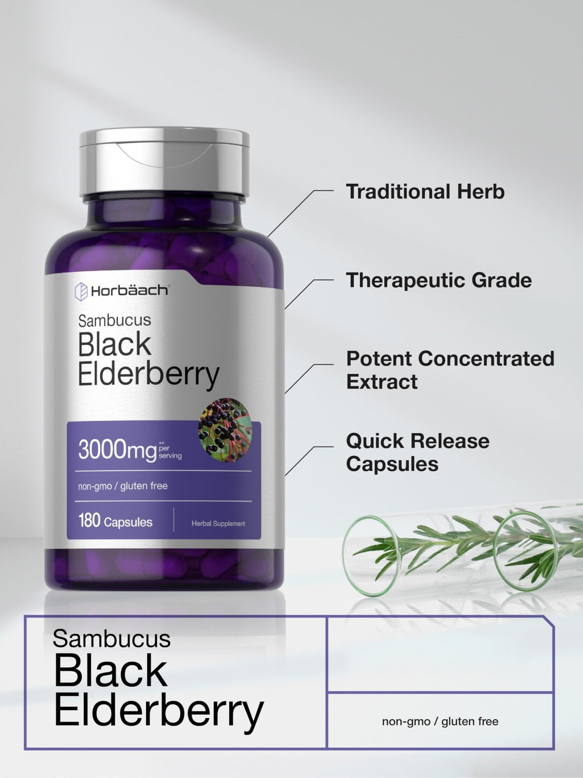 Horbäach Black Elderberry | 180 Count | Non-GMO, Gluten Free | Sambucus Extract Supplement - FENGGESTORE20