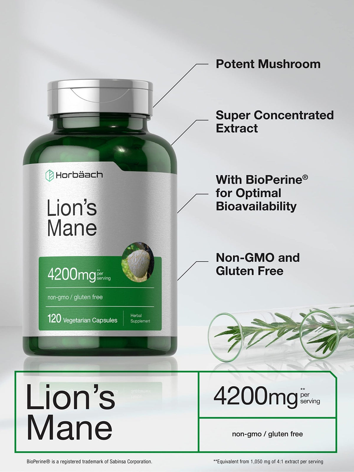 Horbäach Lions Mane Mushroom Extract | 120 Capsules | Vegetarian, Non-GMO, Gluten Free Supplement - FENGGESTORE20