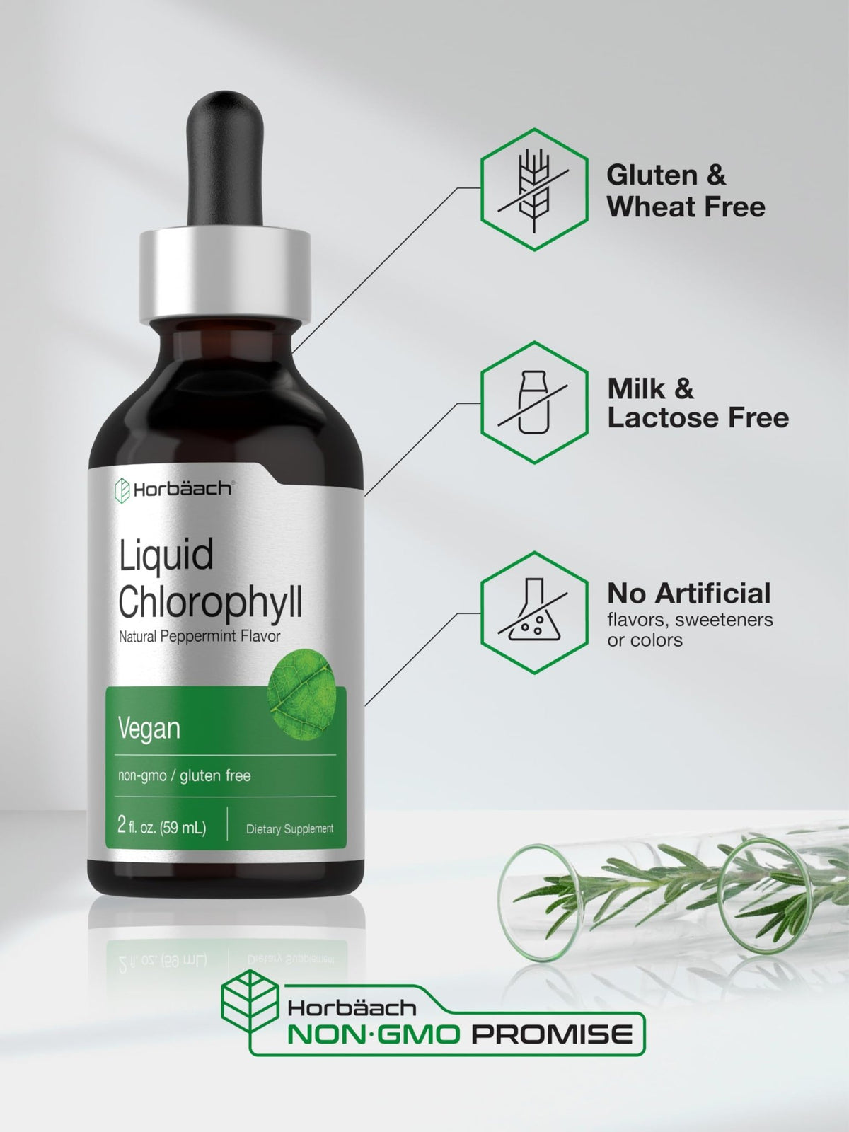 Horbäach Liquid Chlorophyll Drops | 2 oz | Vegan, Non-GMO, and Gluten Free Formula | Natural Peppermint Flavor - FENGGESTORE20