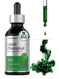 Horbäach Liquid Chlorophyll Drops | 2 oz | Vegan, Non-GMO, and Gluten Free Formula | Natural Peppermint Flavor - FENGGESTORE20