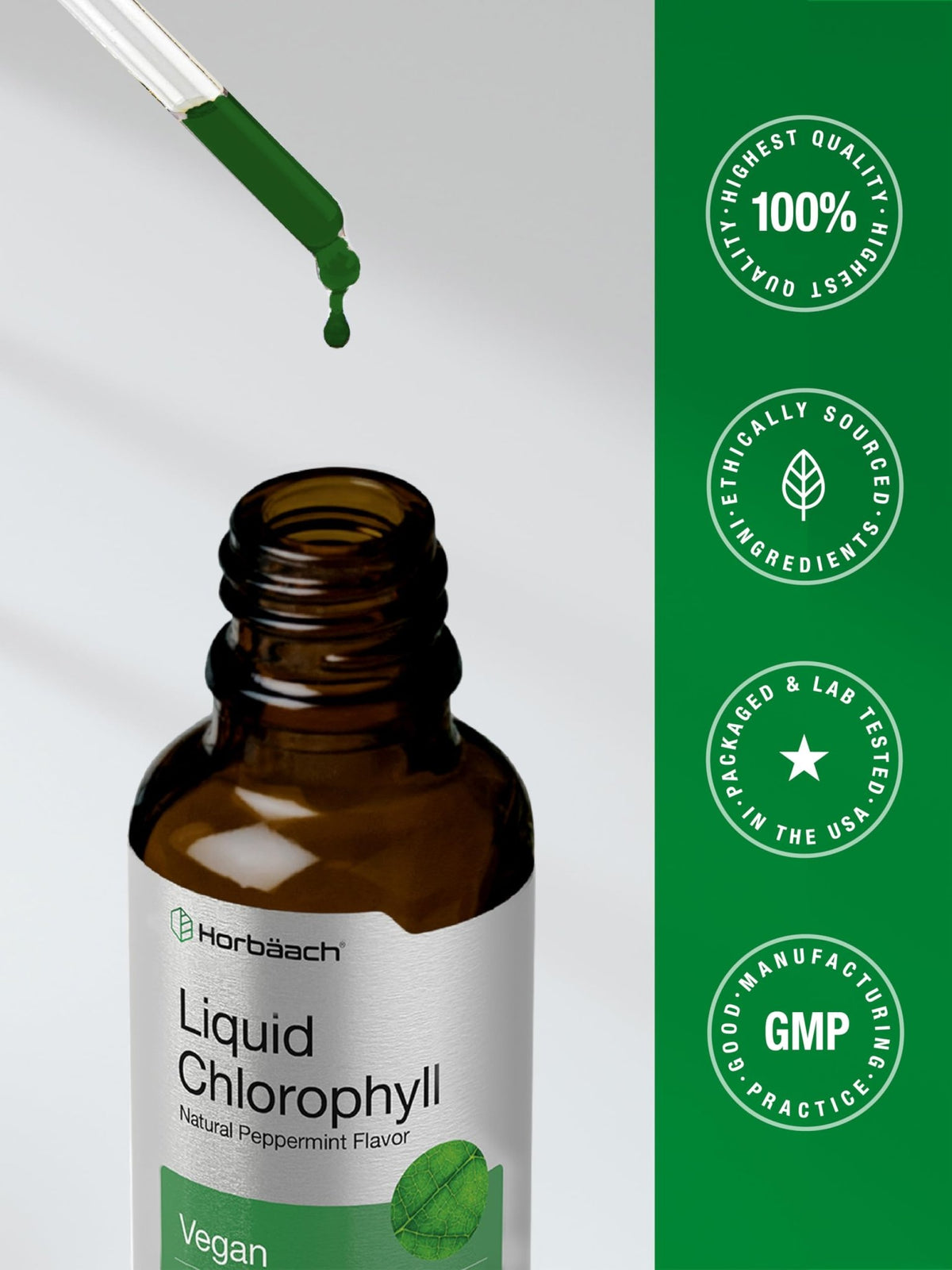 Horbäach Liquid Chlorophyll Drops | 2 oz | Vegan, Non-GMO, and Gluten Free Formula | Natural Peppermint Flavor - FENGGESTORE20