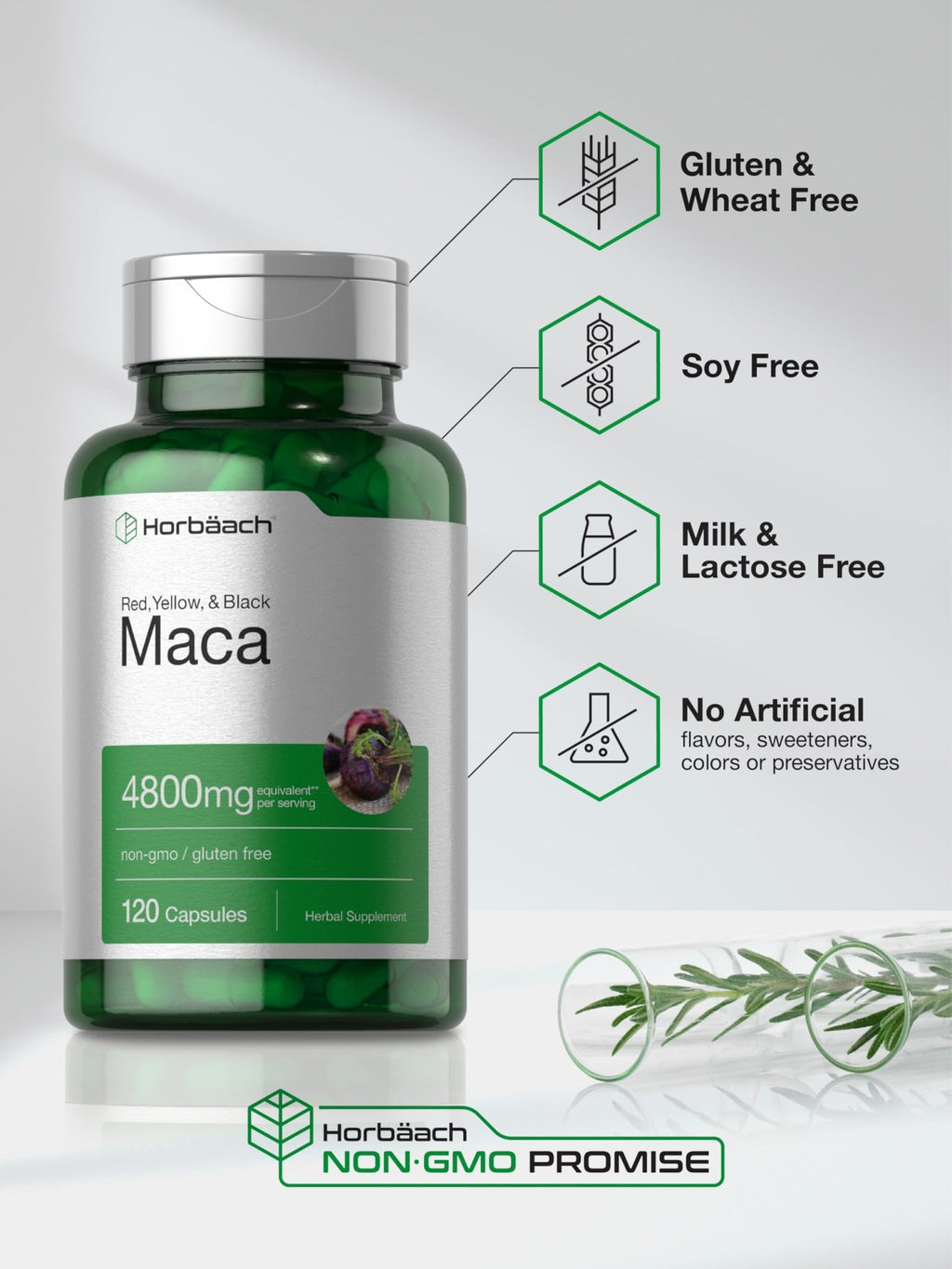 Horbäach Maca Root Capsules for Men and Women | 120 Pills | High Potency Extract | Non-GMO and Gluten Free Formula - FENGGESTORE20