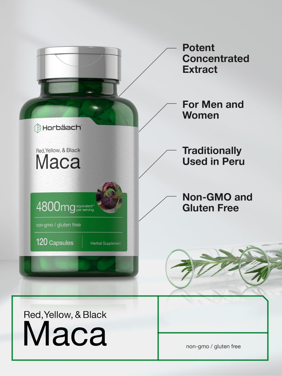 Horbäach Maca Root Capsules for Men and Women | 120 Pills | High Potency Extract | Non-GMO and Gluten Free Formula - FENGGESTORE20