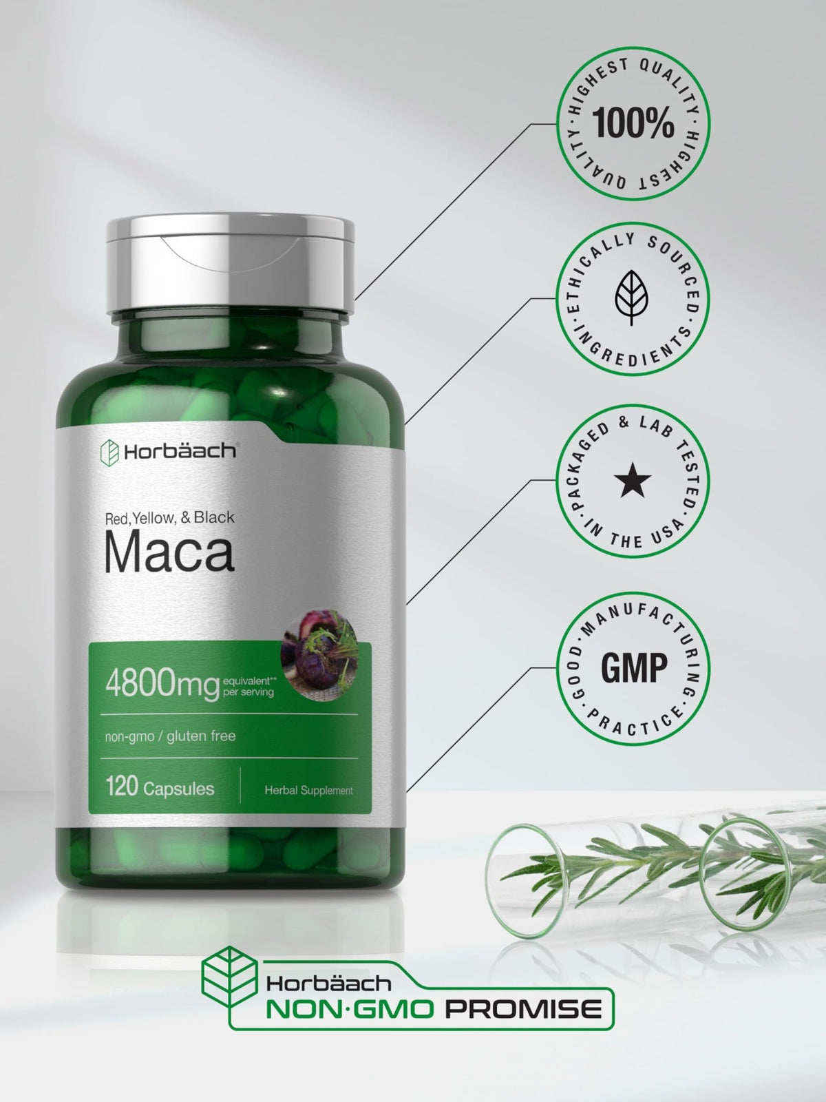 Horbäach Maca Root Capsules for Men and Women | 120 Pills | High Potency Extract | Non-GMO and Gluten Free Formula - FENGGESTORE20