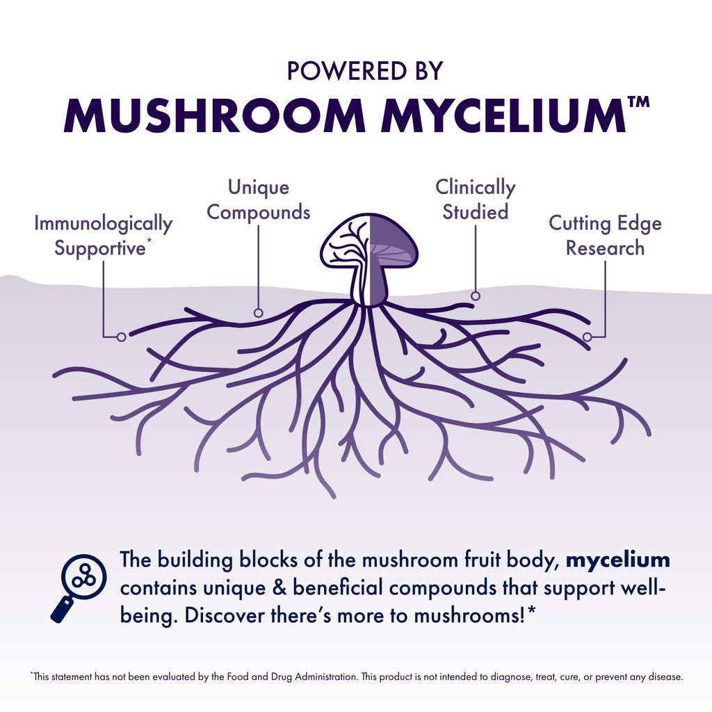 Host Defense Mushrooms Lion's Mane - Supplement Capsules for Brain Health Support - Mushroom Support for Focus & Memory Function - FENGGESTORE20