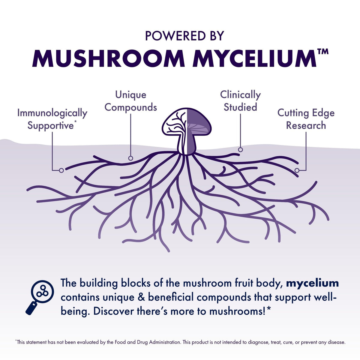 Host Defense Mushrooms Lion's Mane - Supplement Capsules for Brain Health Support - Mushroom Support for Focus & Memory Function - FENGGESTORE20