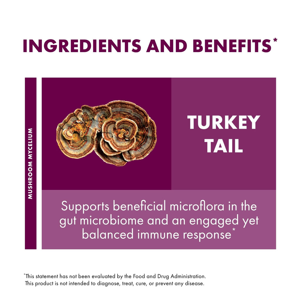 Host Defense Turkey Tail Capsules - Digestive Health & Immune Response Support Supplement - Mushroom Supplement for Gastrointestinal - FENGGESTORE20