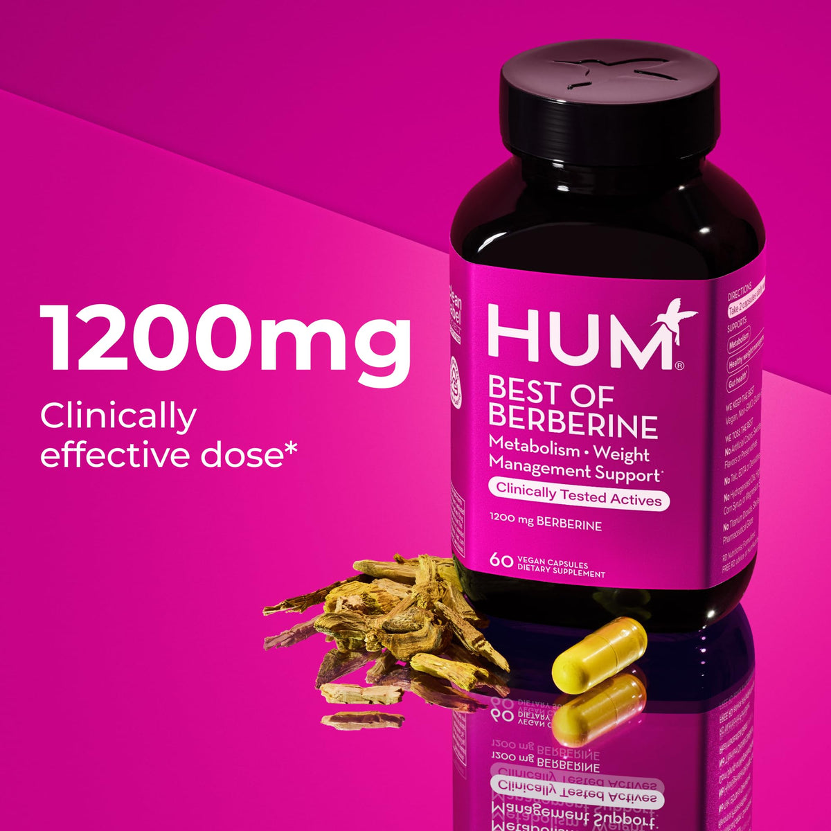 HUM Best of Berberine Supplement 1200mg, Pure Potency for Metabolic Wellness, Gut Health, Pure Berberine Supplements Enhanced with BioPerine for Maximum Absorption, 60 Capsules - FENGGESTORE20