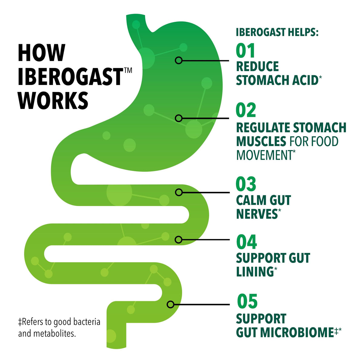 Iberogast Softgels, Herbal Relief of Stomach Upsets: Occasional Indigestion, Bloating, Gas, Nausea, Upset Stomach; 6-Herb Blend with Iberis Amara, Peppermint, Licorice, Lemon Balm; 30ct - FENGGESTORE20